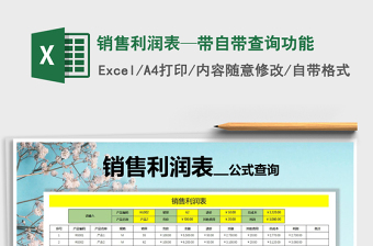 2025年销售利润表—带自带查询功能