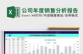 2025年公司年度销售分析报告