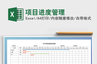 2025年项目进度管理