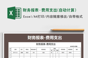 2025年财务报表-费用支出(自动计算）