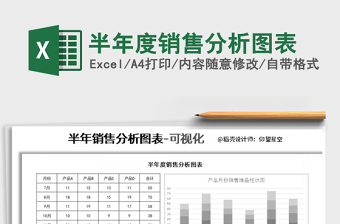 2025年半年度销售分析图表