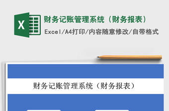 2024年财务记账管理系统（财务报表）