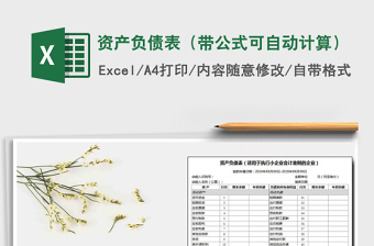 2024年资产负债表（带公式可自动计算）