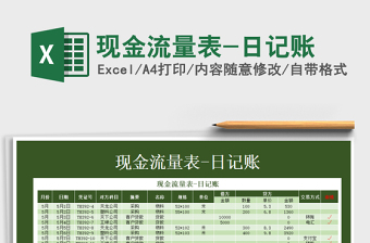 2025年现金流量表-日记账