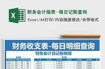 2025年财务会计报表-每日记账查询