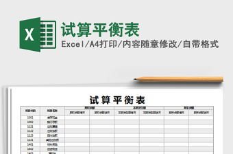 2025年试算平衡表