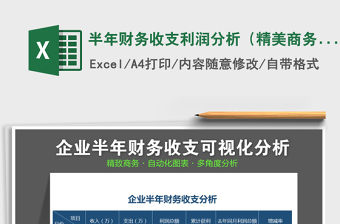 2025年半年财务收支利润分析（精美商务）