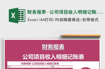 2024年财务报表-公司项目收入明细记账表