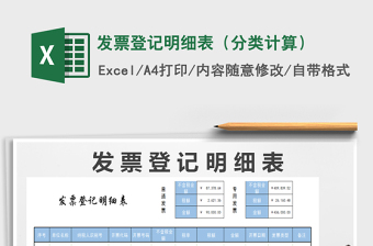 2024年发票登记明细表（分类计算）