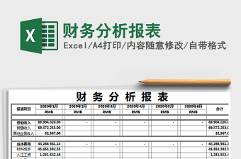 2025年财务分析报表