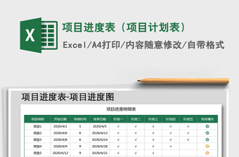 DVT项目计划表