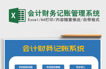 2024年会计财务记账管理系统