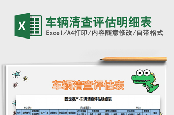 2025年车辆清查评估明细表
