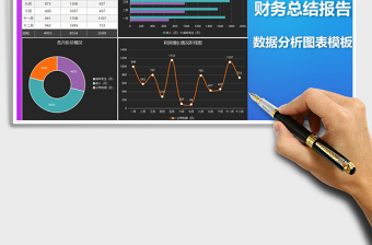 2025年财务总结报告数据分析图表模板