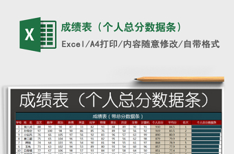 2025年成绩表（个人总分数据条）