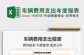 2025年车辆费用支出年度报表