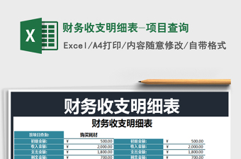 2025年财务收支明细表-项目查询