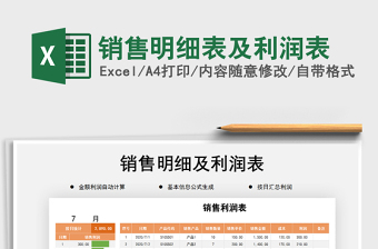 2025年销售明细表及利润表