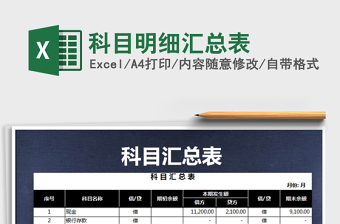 2025年科目明细汇总表