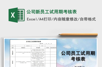 公司新员工试用期考核表