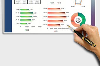 2025年数据分析对比报表男女年龄比例