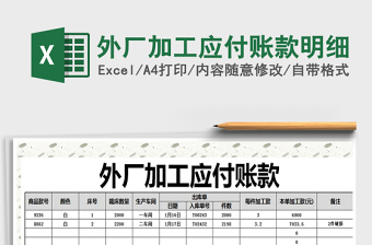 2025年外厂加工应付账款明细