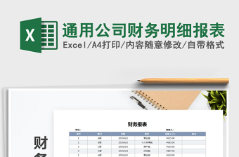 2025财务明细大全excel表格图片