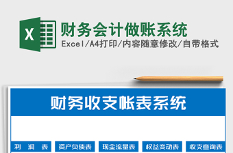 2025年财务会计做账系统