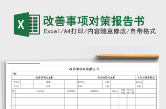 2025年改善事项对策报告书