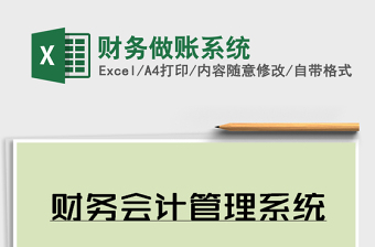 2025年财务做账系统