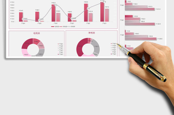 2025年可视化财务利润分析表