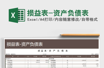 2024年损益表-资产负债表