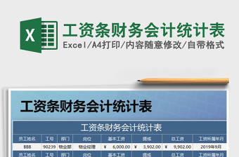 2025年工资条财务会计统计表