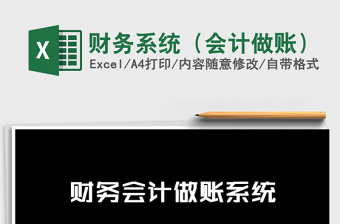 2025年财务系统（会计做账）