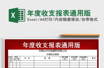 2025年年度收支报表通用版