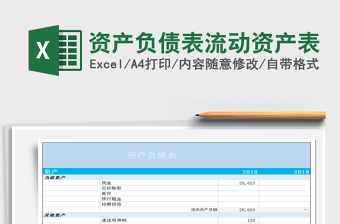 2024年资产负债表流动资产表excel表格