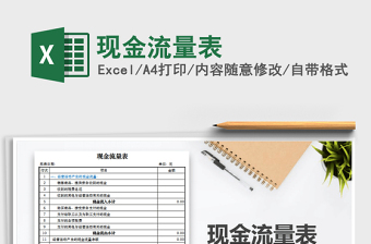 2024年现金流量表excel表格