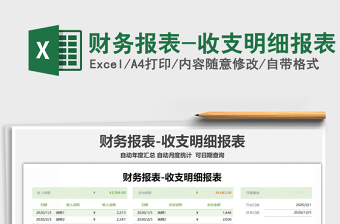 2025年财务报表-收支明细报表