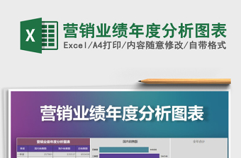2025年营销业绩年度分析图表