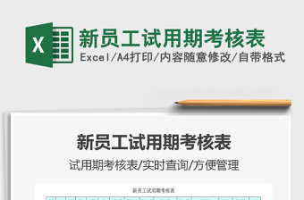 2025年新员工试用期考核表