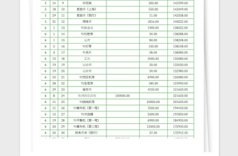 2025年公司流水账记录表