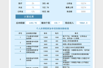 2024年个人所得税计算器免费下载