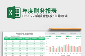 2025年年度财务报表