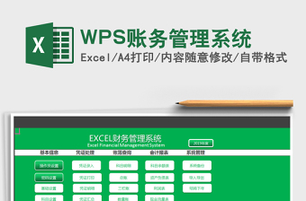 2024WPS账务管理系统excel表格