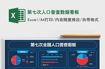 2024第七次人口普查数据看板excel表格