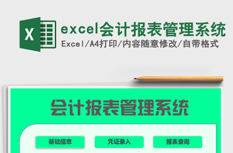 excel会计报表管理系统excel表格