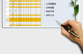 公司日常预算表