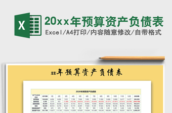 202520xx年预算资产负债表免费下载