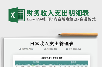 2024财务收入支出明细表exce表格