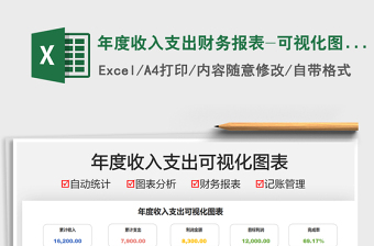 2024年度收入支出财务报表-可视化图表exce表格